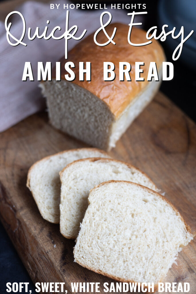 AMISH BREAD REDIPE