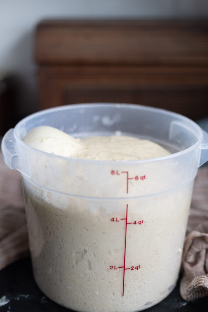 bread dough proofing