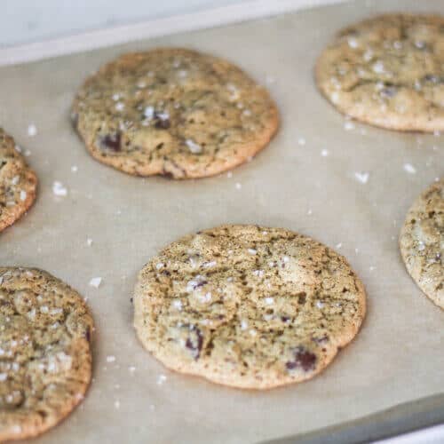Easy Sourdough Chocolate Chip Cookies - Soft & Chewy - Hopewell
