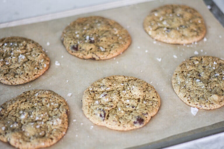 gooey sourdough chocolate chip cookies