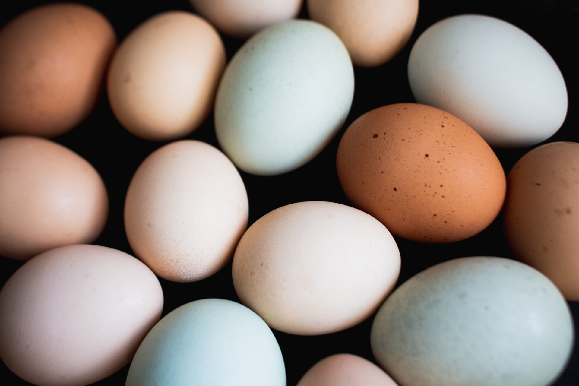 Choosing Chicks for a Colorful Egg Basket