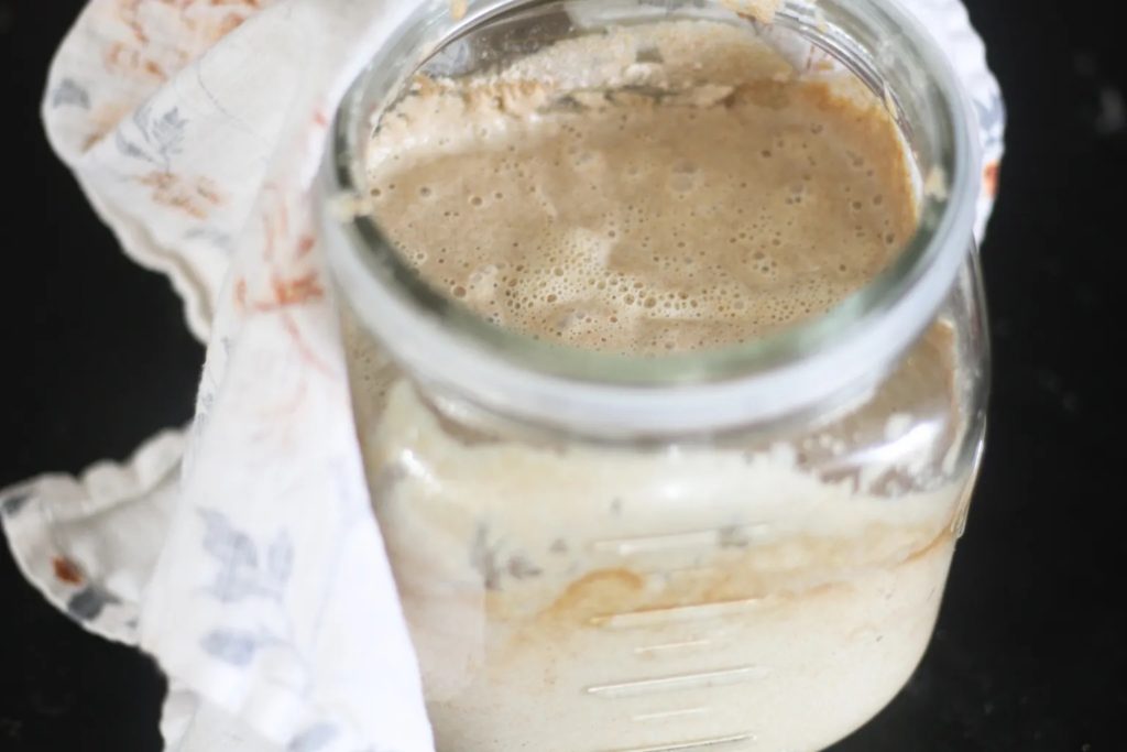 bubbly sourdough starter
