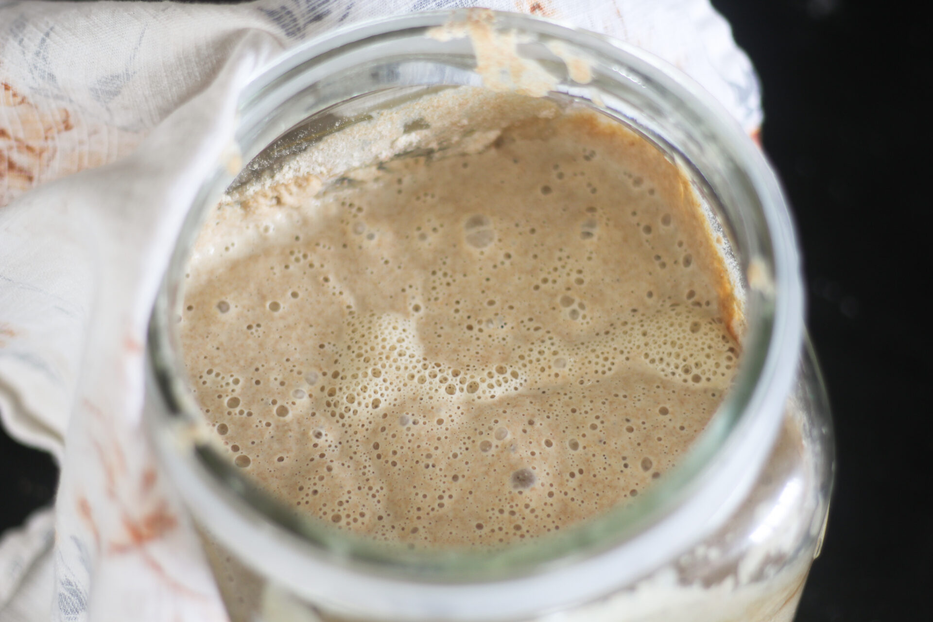 Einkorn Sourdough Starter - Farmhouse on Boone