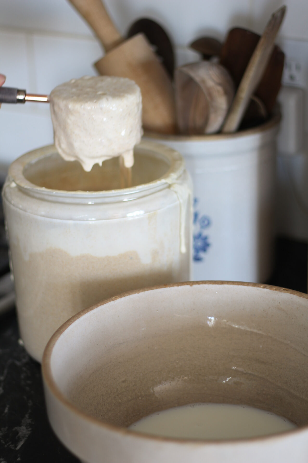 sourdough starter