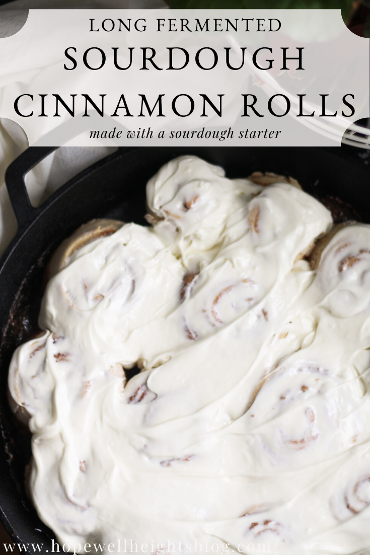 sourdough cinnamon rolls
