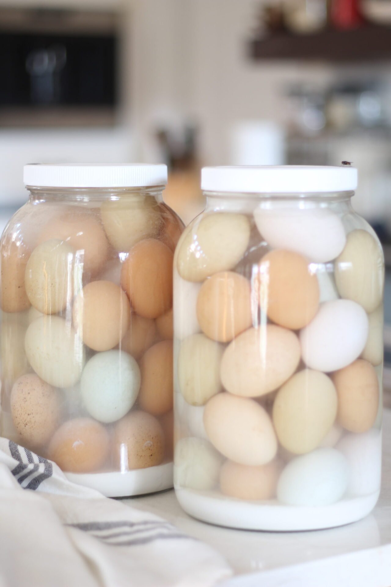eggs preserved in lime water