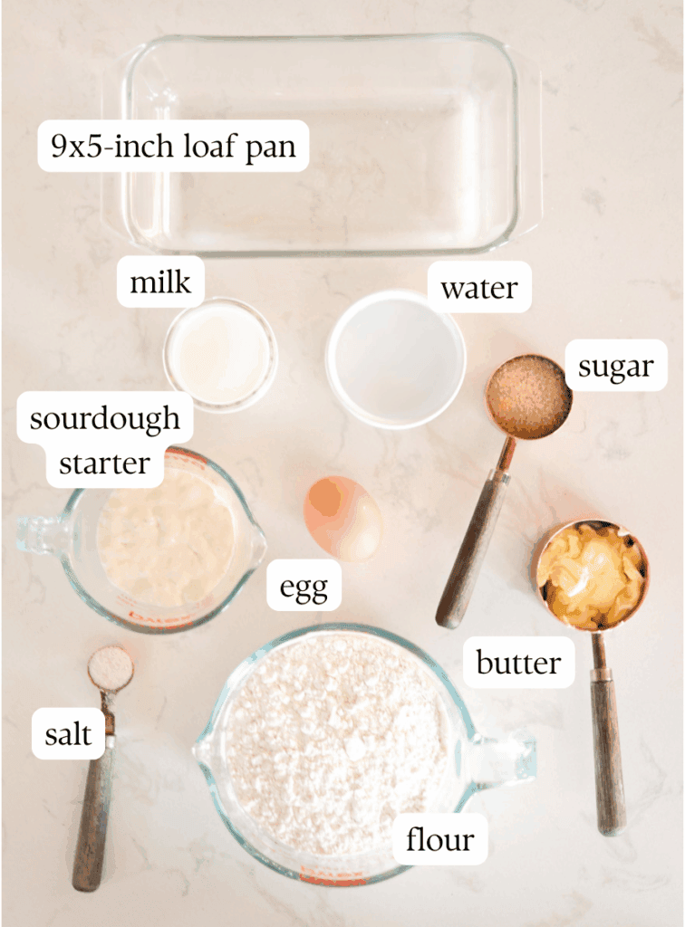 labeled ingredients for making sourdough sandwich bread.