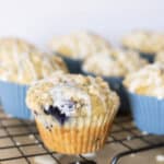 sourdough blueberry muffins