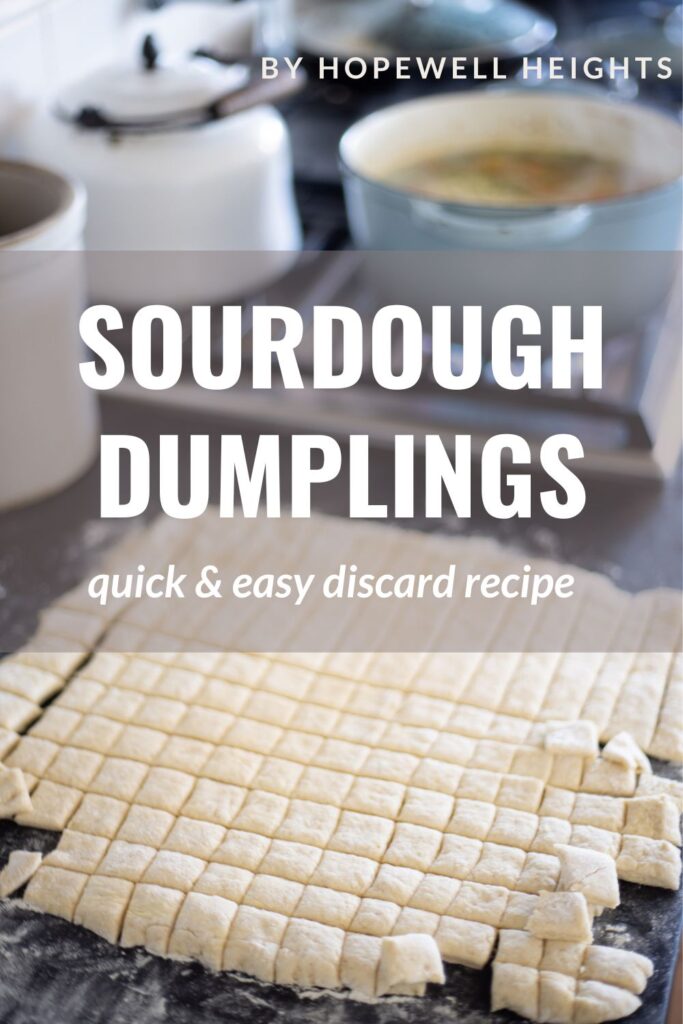 sourdough dumpling recipe 