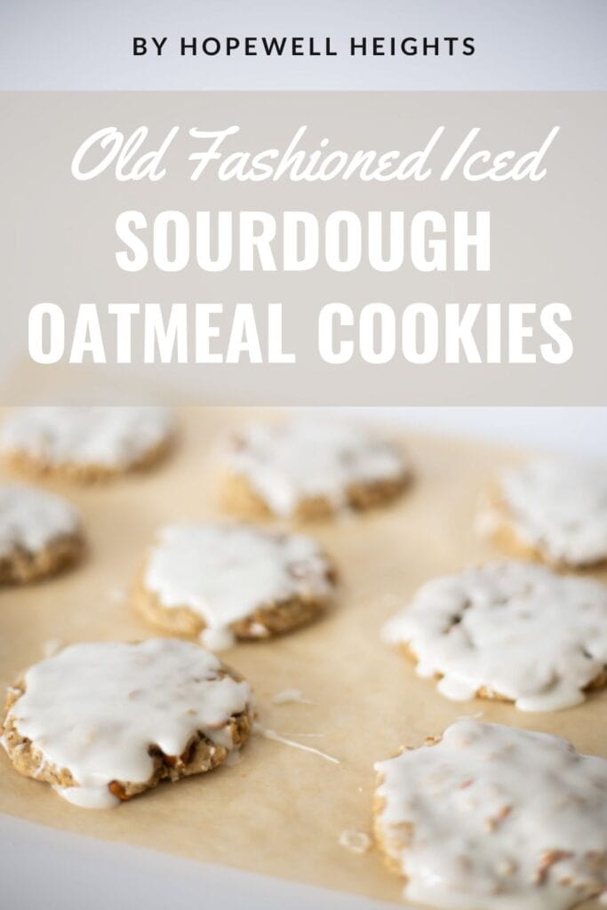 sourdough oatmeal cookie recipe