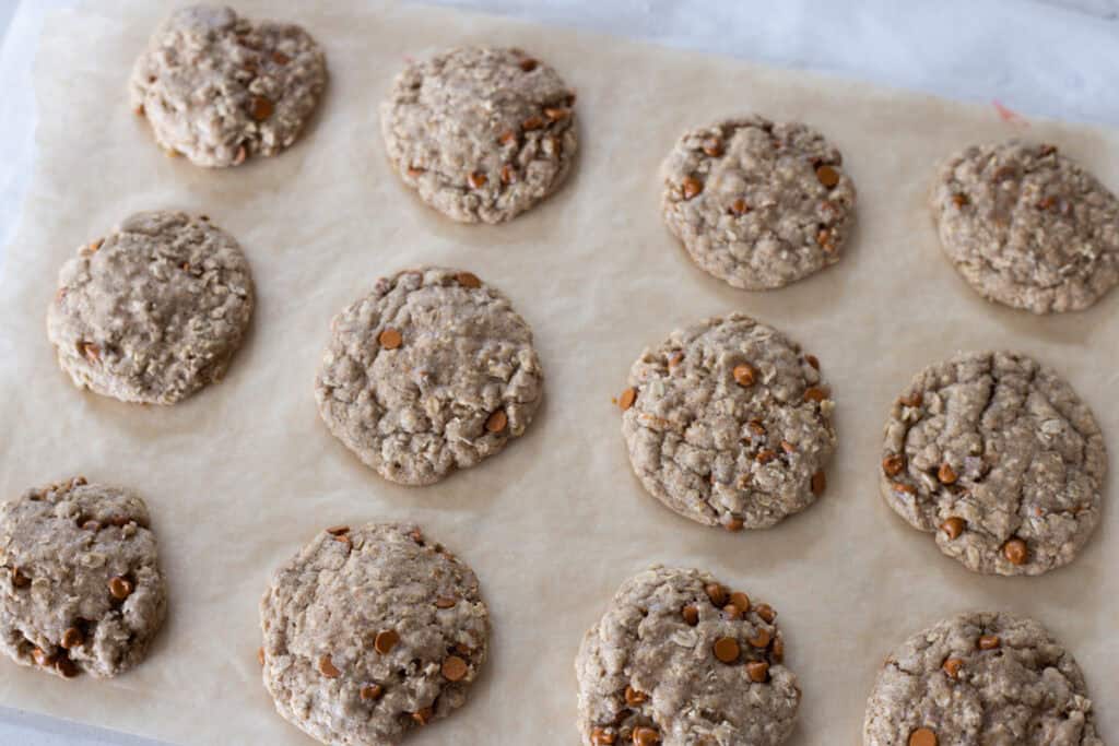 sourdough discard oatmeal cookies