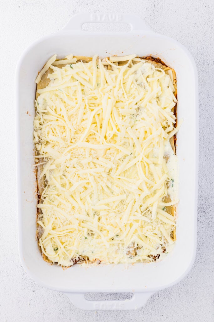 first layer topped with cheese