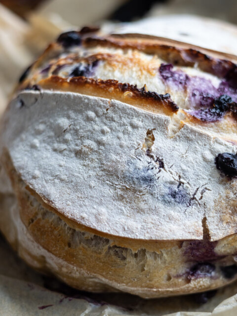 sourdough blueberry lemon artisan bread
