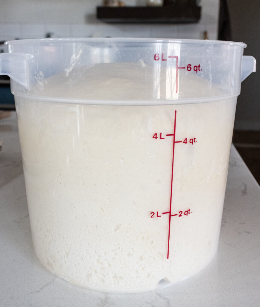 dough rising