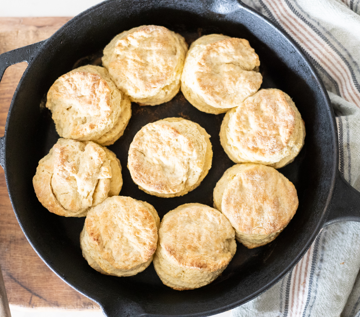 sourdough biscuits