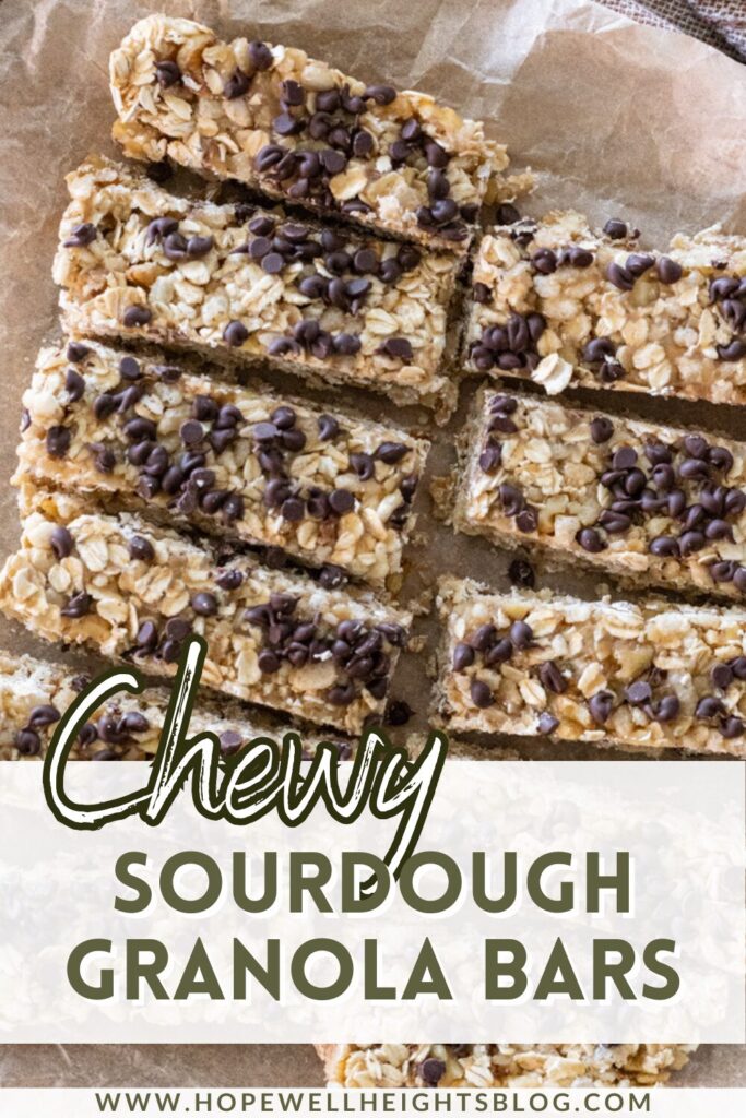 sourdough granola bars