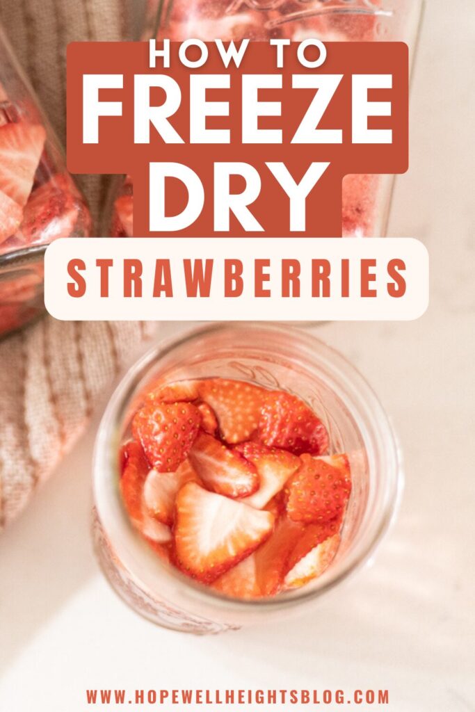 Freeze dried strawberries in a jar 