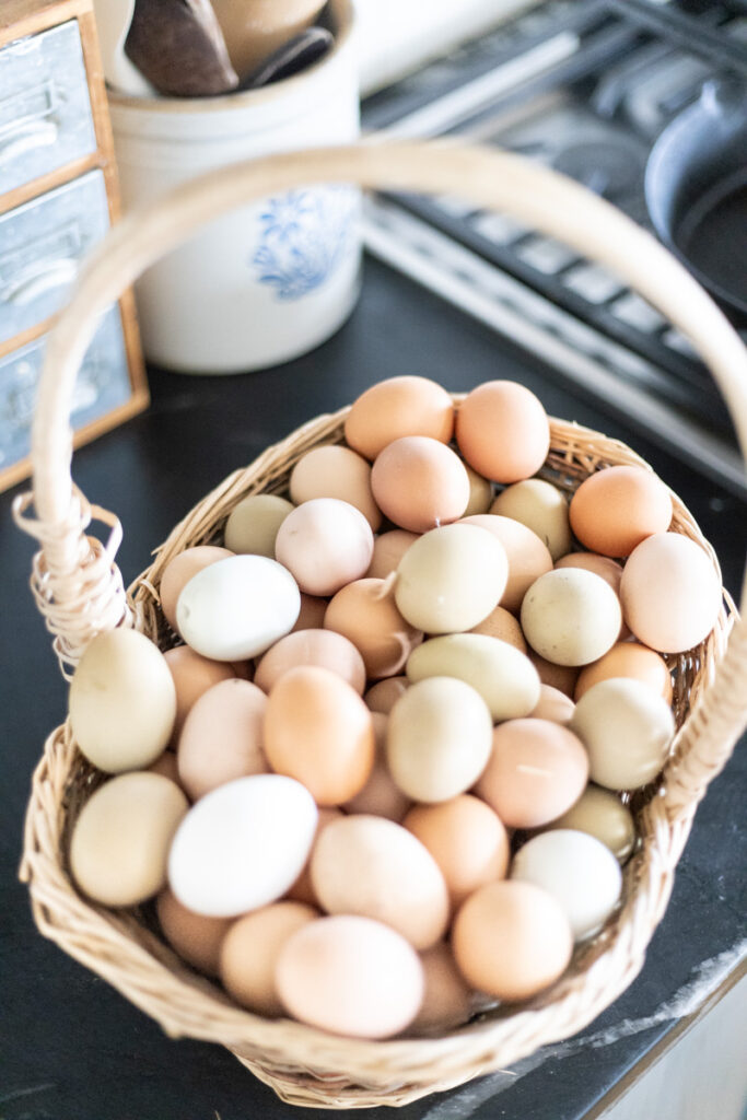 basket full of eggs