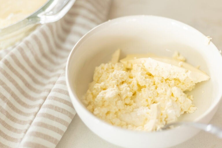 bowl of long fermented lactobacillus reuteri yogurt.