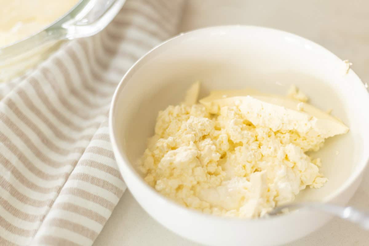 bowl of long fermented lactobacillus reuteri yogurt.