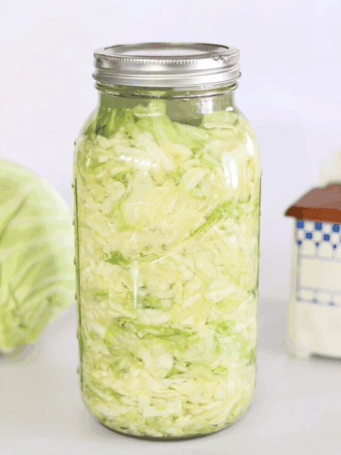 fermented sauerkraut made from cabbage and salt.