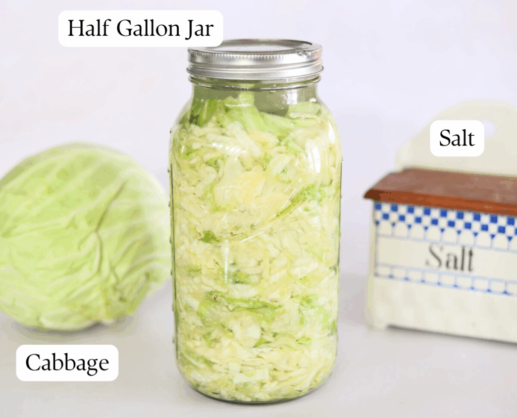labeled ingredients for making fermented sauerkraut.