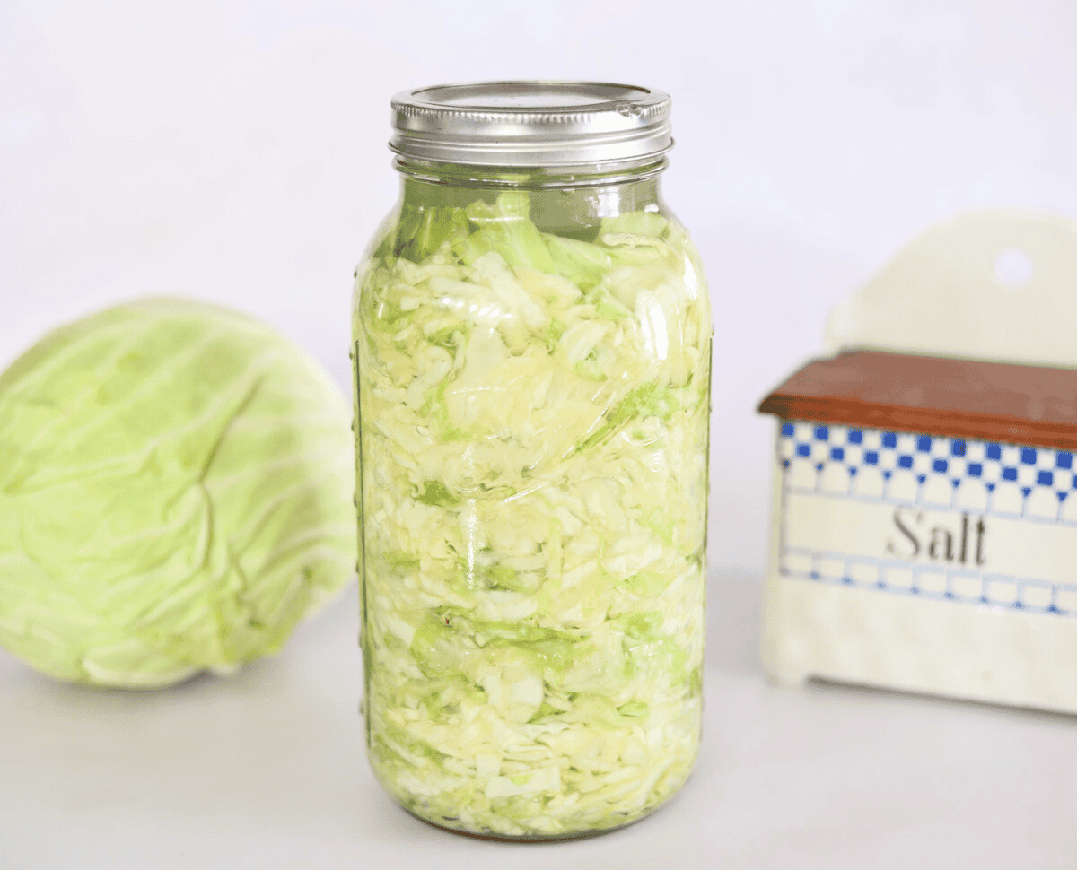 fermented sauerkraut made from cabbage and salt.