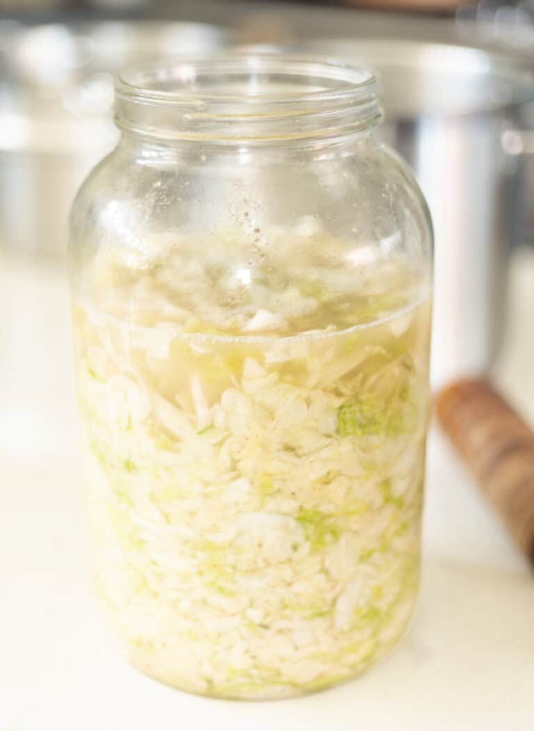 chopped cabbage added to a large jar with salt for fermenting into sauerkraut
