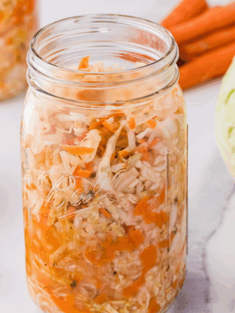 fermented coleslaw featured image