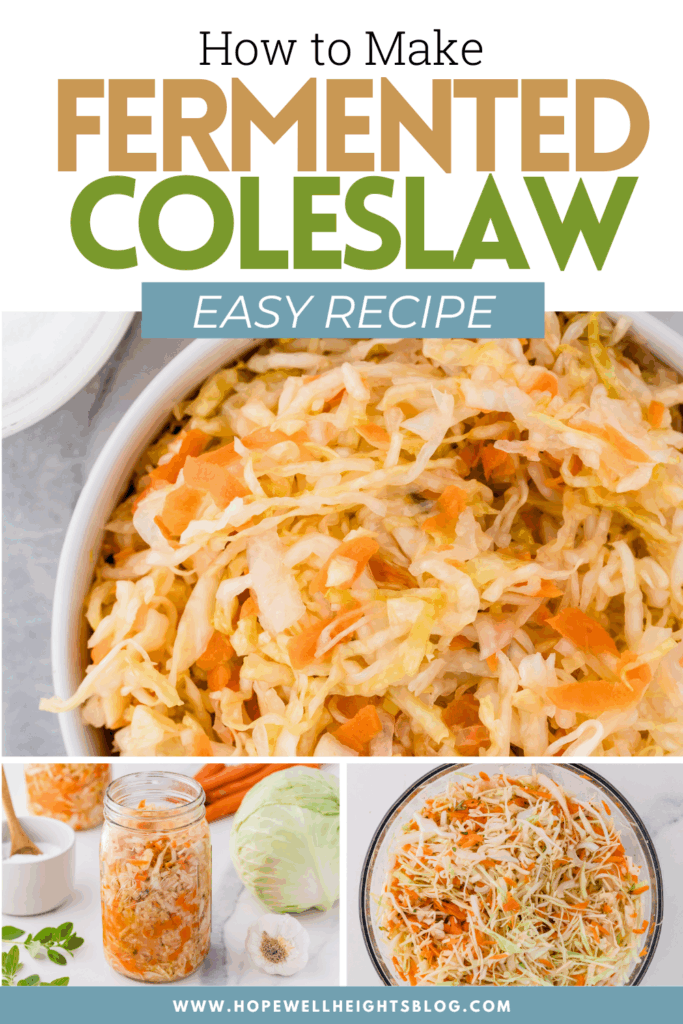 fermented coleslaw pinterest image