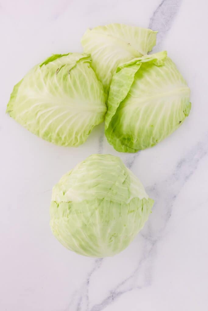 cabbages