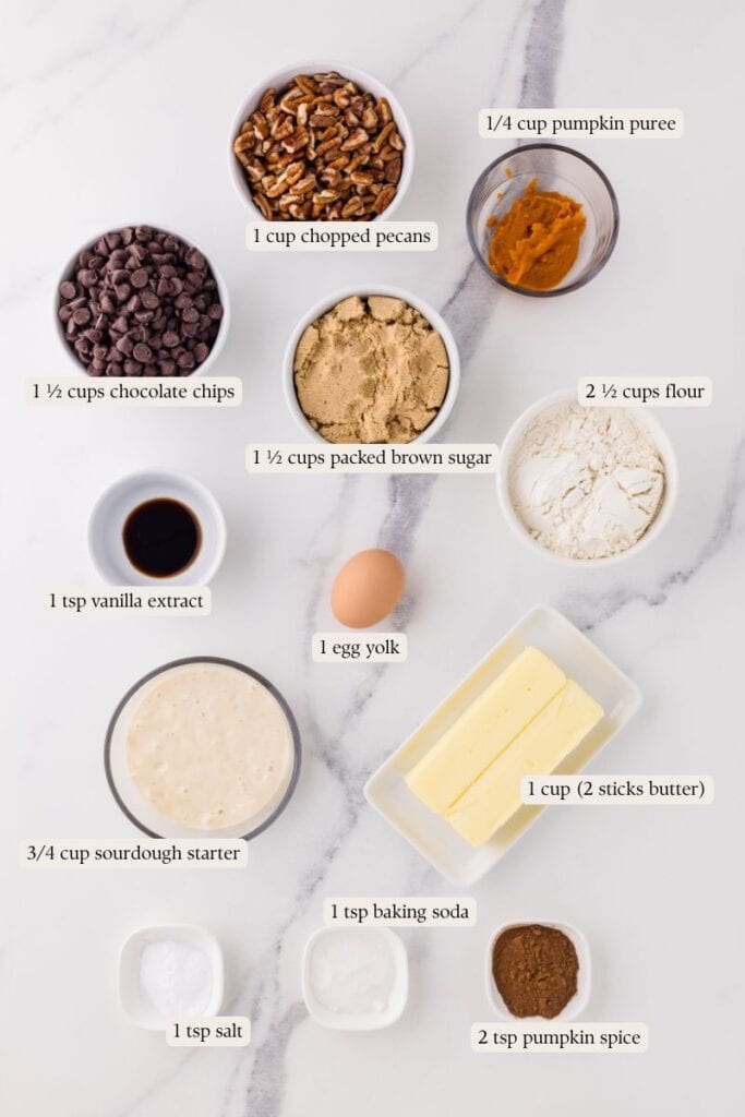 ingredients for making sourdough pumpkin cookies