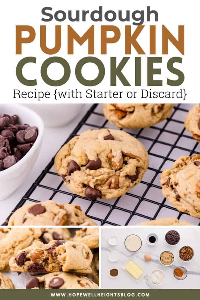 sourdough pumpkin cookies pin image