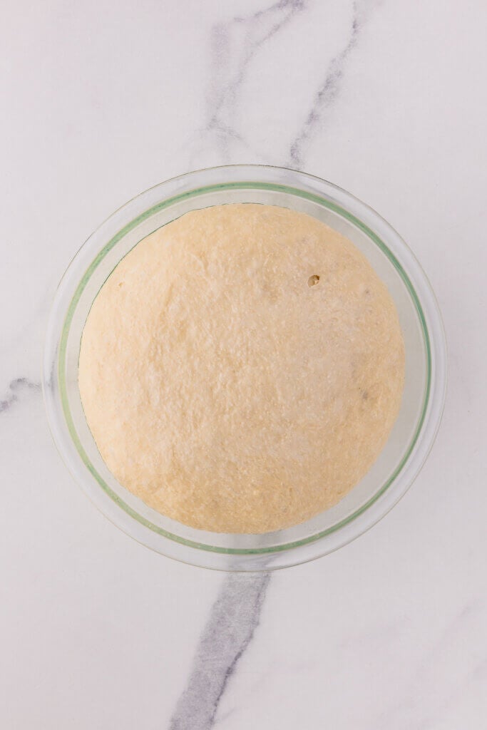 dough doubled in size