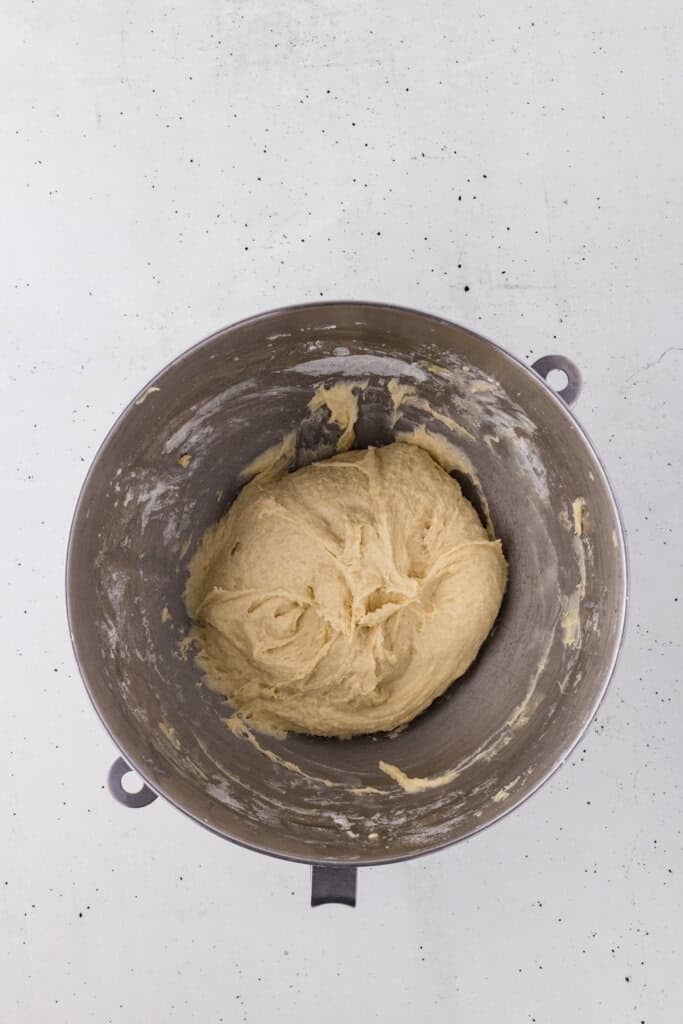 kneaded dough in a bowl